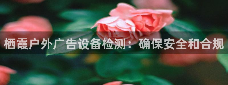 杏宇官方平台官网入口