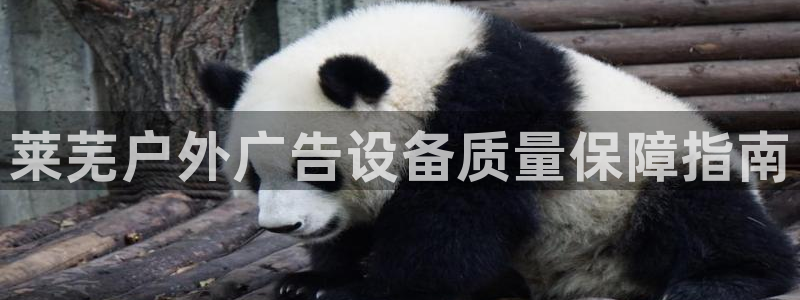 杏宇平台注册地址在哪里