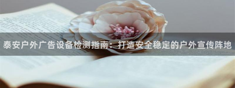 杏宇平台代理多少钱一个