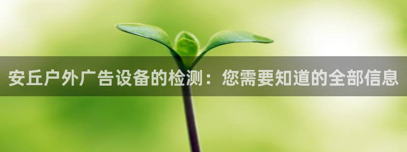 杏宇平台主管