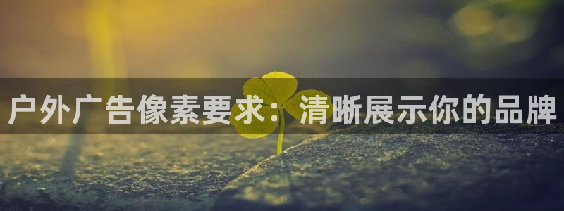杏宇平台代理怎么样可靠吗