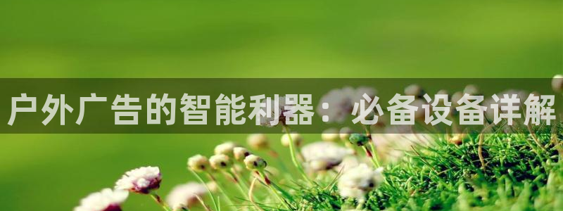 杏宇官方平台官网入口