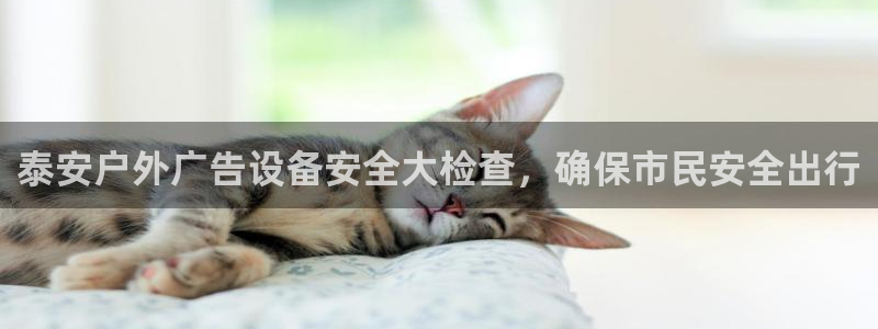 杏宇平台代理怎么样