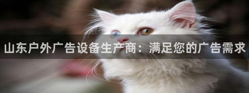 杏宇官方平台官网下载