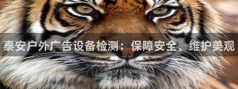 杏宇平台提现为什么这么久呢：泰安户外广告设备检测：保障安全、维护美观