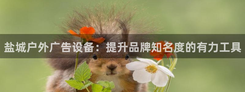 杏宇平台登录步骤：盐城户外广告设备：提升品牌知名度的有力工具