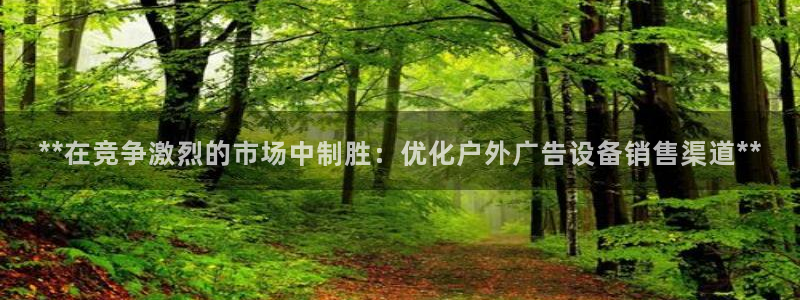 杏宇平台总代理电话：**在竞争激烈的市场中制胜：优化户外广告设备销售渠道**