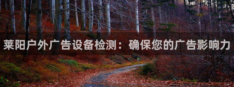 杏宇平台代理怎么赚钱：莱阳户外广告设备检测：确保您的广告影响力