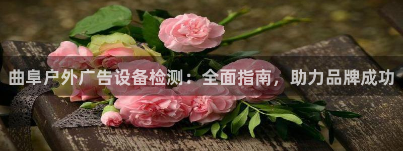杏宇平台注册地址：曲阜户外广告设备检测：全面指南，助力品牌成功