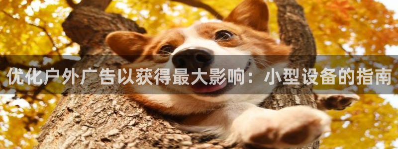 杏宇平台代理怎么样啊：优化户外广告以获得最大影响：小型设备的指南