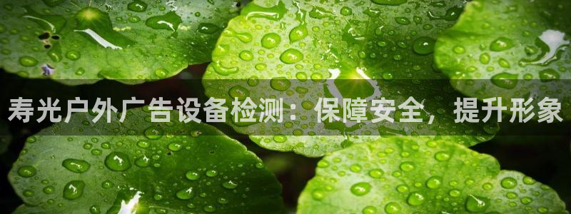 杏宇平台怎么样