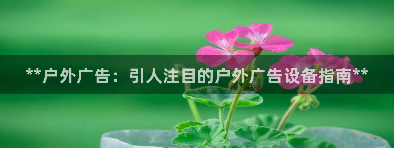 杏宇代理注册：**户外广告：引人注目的户外广告设备指南**