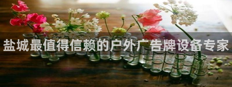 杏宇平台代理怎么样啊