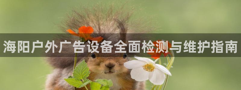 杏宇平台好吗：海阳户外广告设备全面检测与维护指南