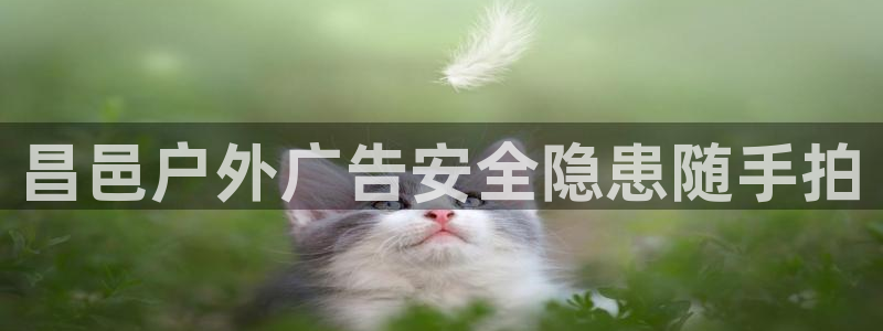 杏宇平台招商电话号码