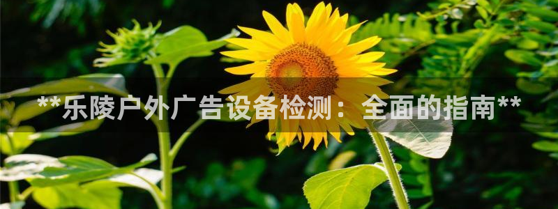 杏宇平台招商怎么样：**乐陵户外广告设备检测：全面的指南**