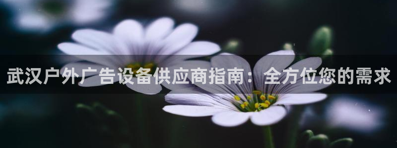杏宇平台代理怎么赚钱：武汉户外广告设备供应商指南：全方位您的需求
