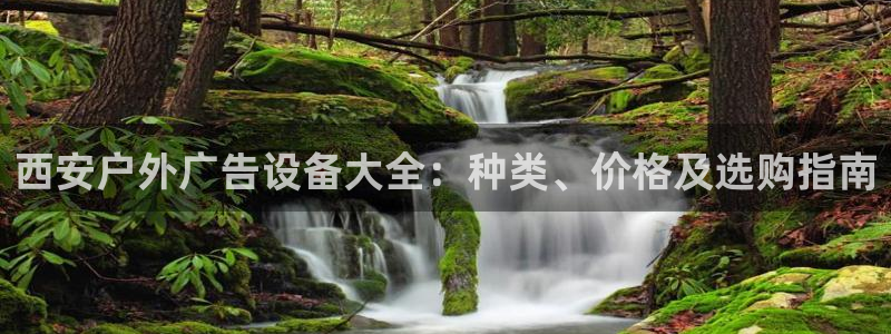 杏宇官方平台官网