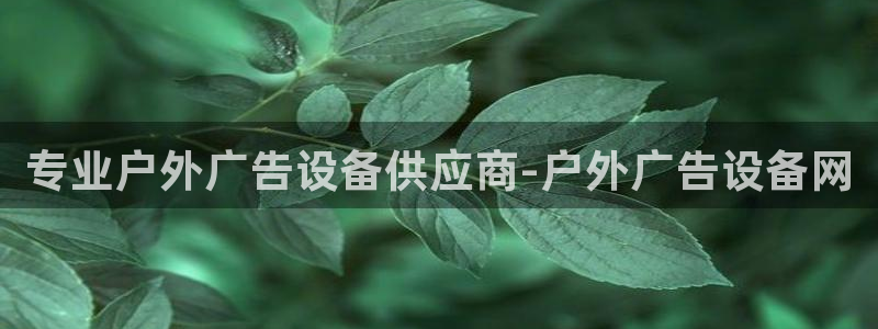 杏宇平台代理多少钱一个