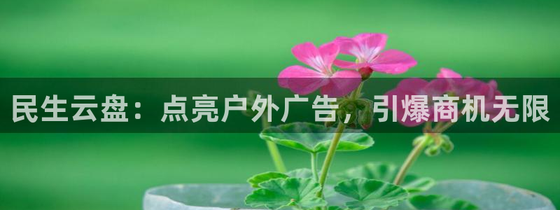 杏宇平台怎么样知乎
