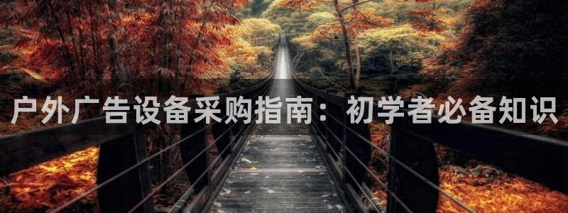 杏宇平台好吗：户外广告设备采购指南：初学者必备知识
