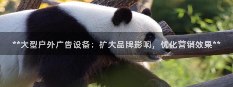 杏宇平台登陆