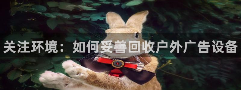 杏宇平台招商怎么样