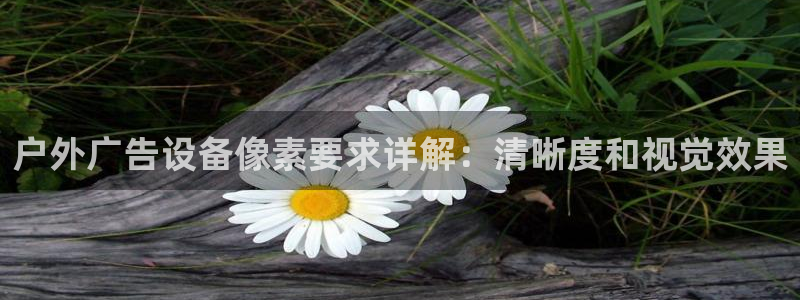 杏宇平台登录步骤