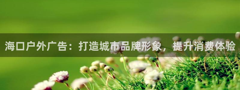 杏宇官方平台官网入口