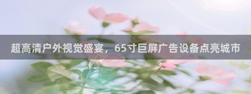 杏宇平台招商怎么样