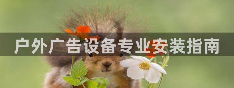 杏宇平台代理多少钱