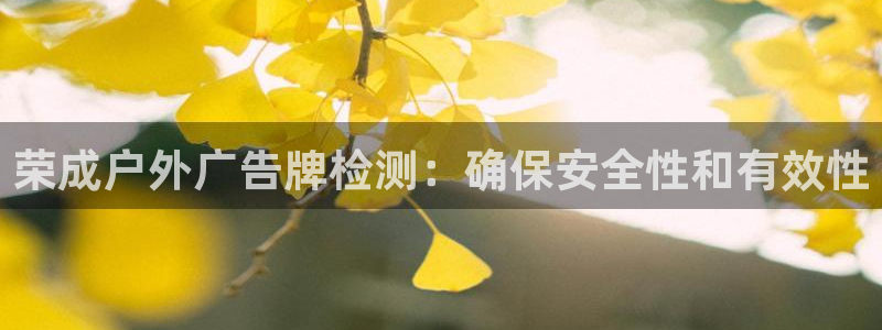 杏宇平台总代理电话：荣成户外广告牌检测：确保安全性和有效性