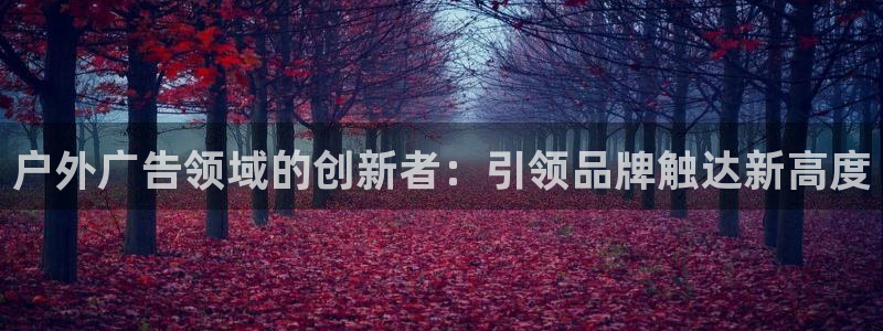 杏宇平台代理多少钱一次