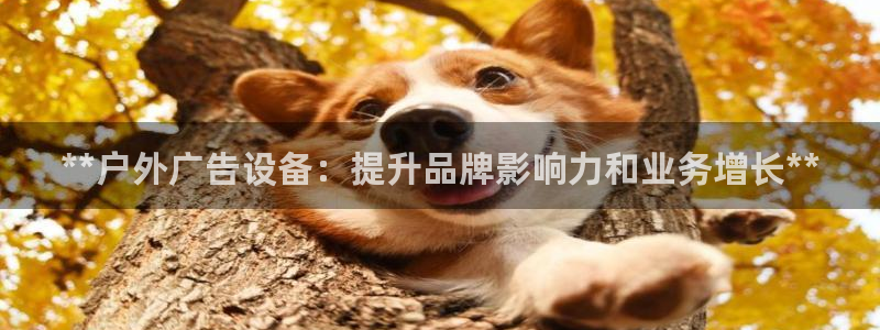 杏宇平台客服：**户外广告设备：提升品牌影响力和业务增长**