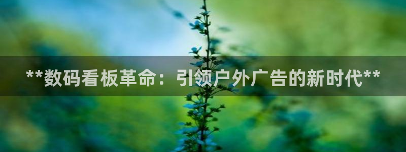 杏宇平台主管