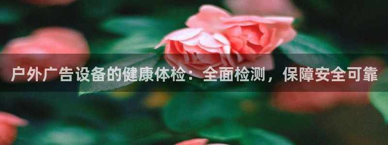 杏宇平台登陆