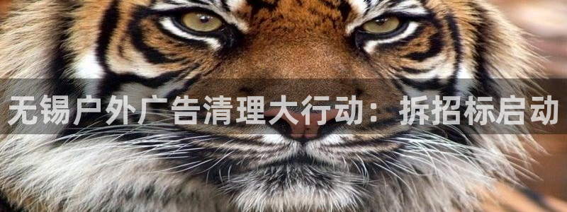杏宇平台注册地址在哪里