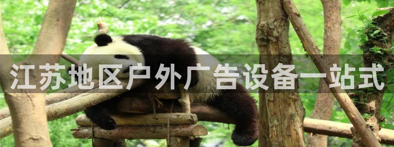 杏宇平台总代理是谁