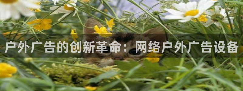 杏宇代理注册