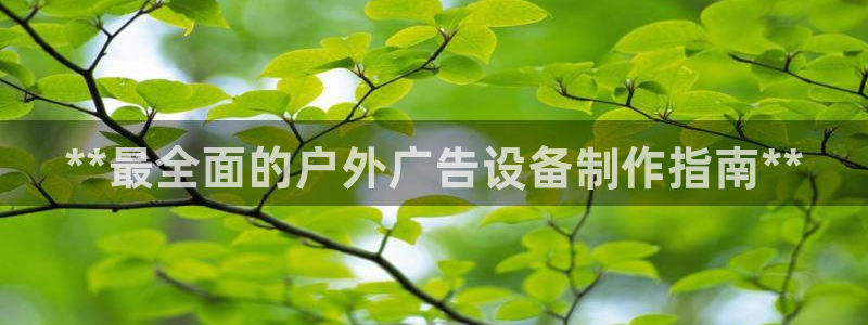 杏宇平台代理多少钱一次：**最全面的户外广告设备制作指南**