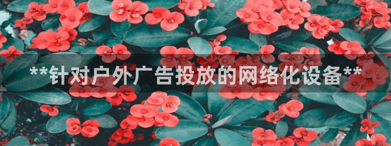 杏宇代理注册：**针对户外广告投放的网络化设备**