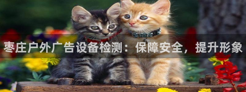 杏宇平台招商