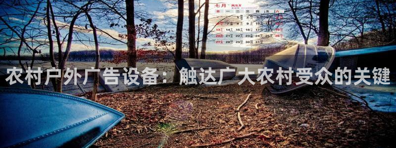 杏宇平台怎么样：农村户外广告设备：触达广大农村受众的关键