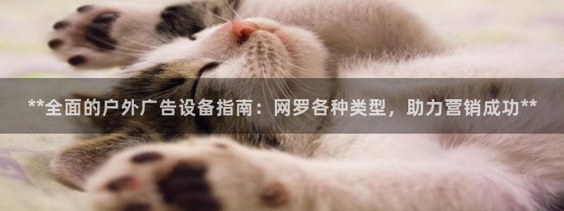 杏宇平台代理多少钱一个月：**全面的户外广告设备指南：网罗各种类型，助力营销成功**