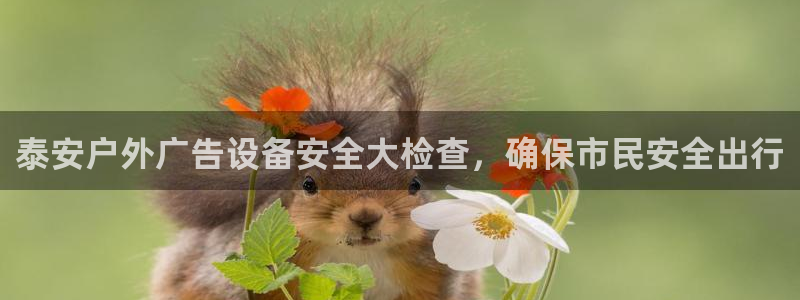 杏宇平台登录步骤是什么