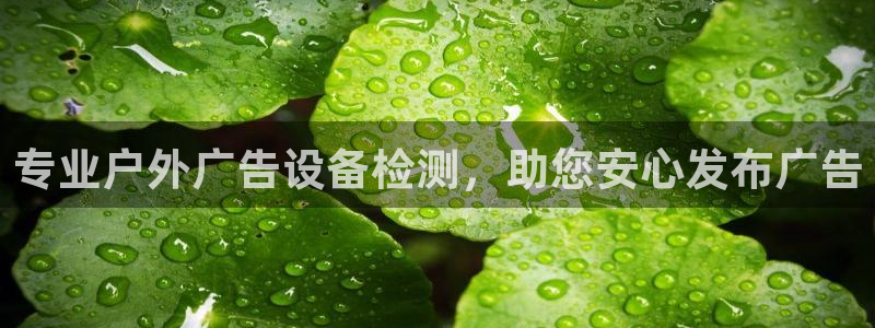 杏宇平台好吗