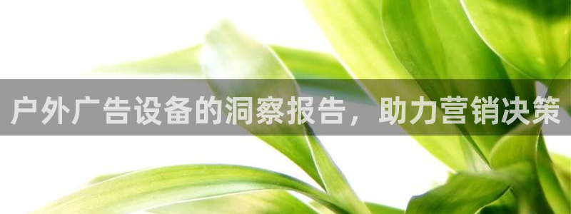 杏宇官方平台官网入口