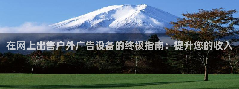 杏宇平台怎么样：在网上出售户外广告设备的终极指南：提升您的收入