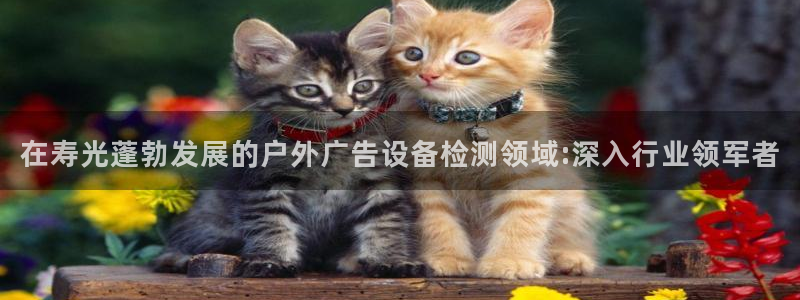 杏宇平台招商怎么样：在寿光蓬勃发展的户外广告设备检测领域:深入行业领军者