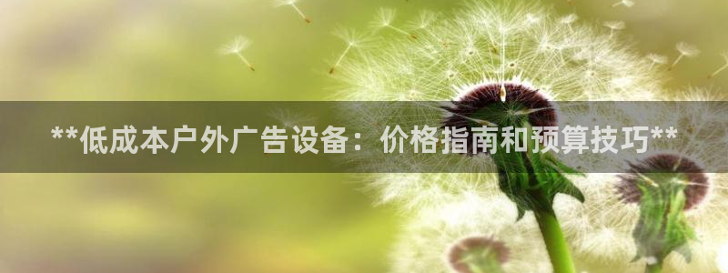 杏宇平台注册地址在哪里：**低成本户外广告设备：价格指南和预算技巧**